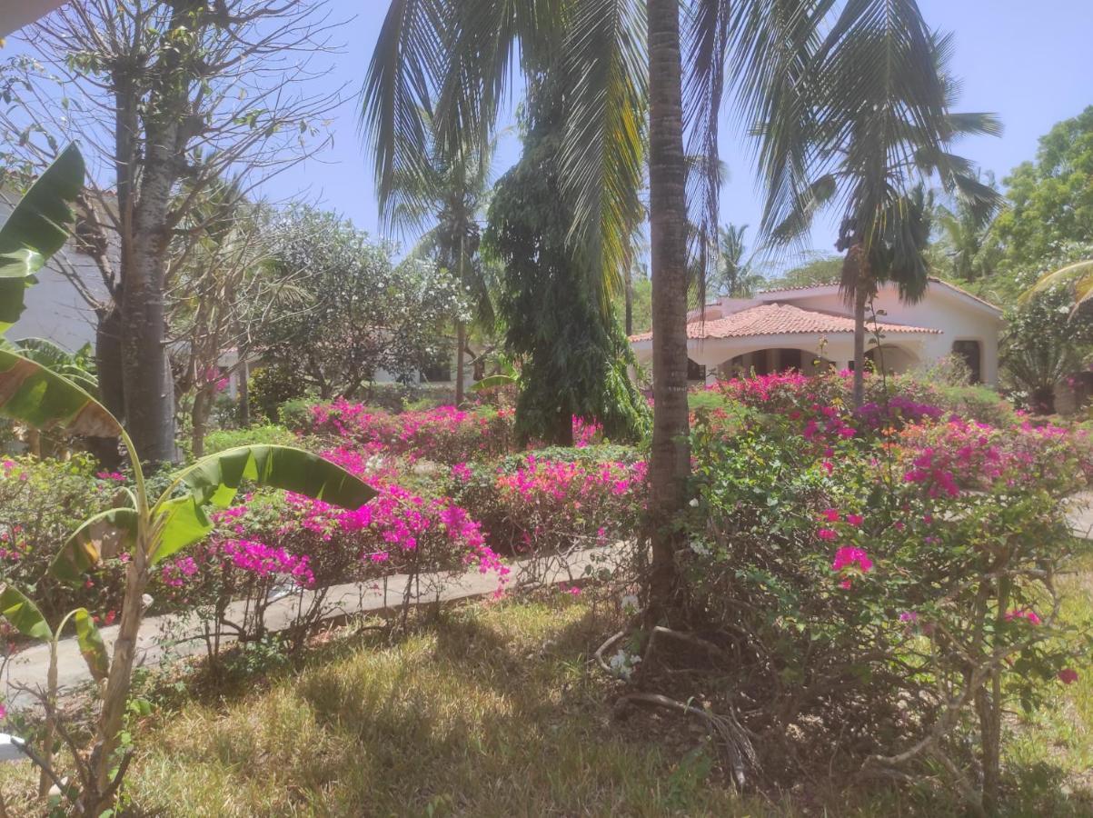 2Livu Villas Ватаму Екстер'єр фото